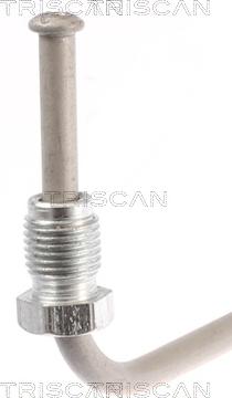 Triscan 8150 28296 - Brake Hose www.parts5.com