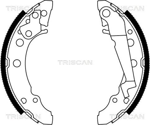 Triscan 8100 29001 - Комплект тормозных колодок, барабанные www.parts5.com