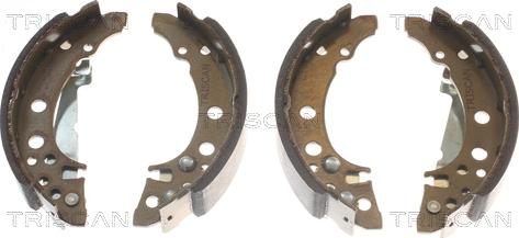 Triscan 8100 29001 - Brake Shoe Set www.parts5.com