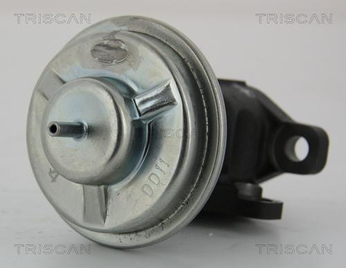 Triscan 8813 43003 - EGR Valve www.parts5.com