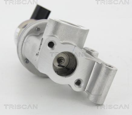 Triscan 8813 43021 - EGR Valve www.parts5.com