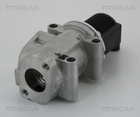 Triscan 8813 15032 - Βαλβίδα AGR www.parts5.com