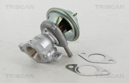 Triscan 8813 15029 - Vanne EGR www.parts5.com