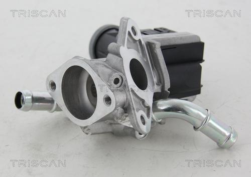 Triscan 8813 16036 - Vanne EGR www.parts5.com