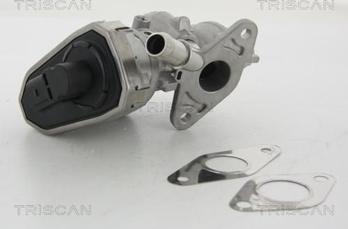 Triscan 8813 16100 - Vanne EGR www.parts5.com