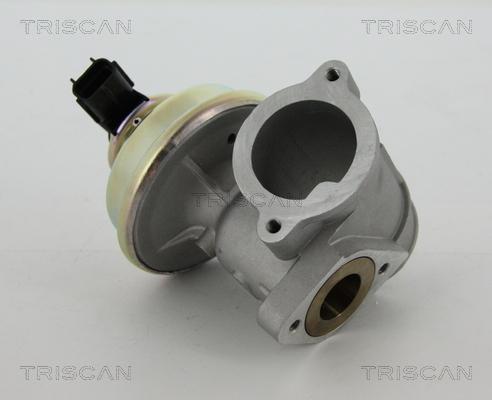 Triscan 8813 16102 - EGR Valve www.parts5.com