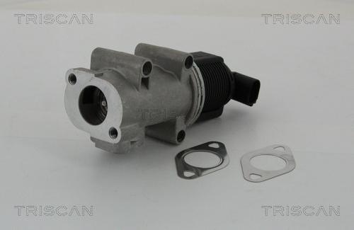 Triscan 8813 10005 - AGR - Ventil www.parts5.com