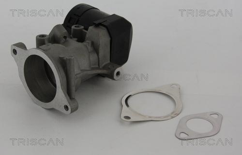 Triscan 8813 10001 - EGR Valve www.parts5.com