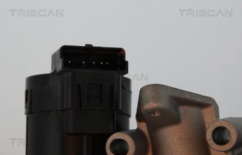 Triscan 8813 10001 - EGR Valve www.parts5.com