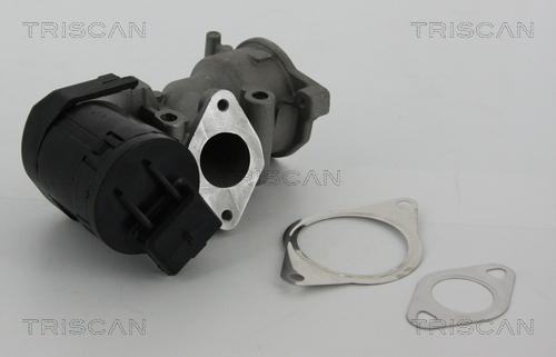 Triscan 8813 10001 - Zawór AGR parts5.com