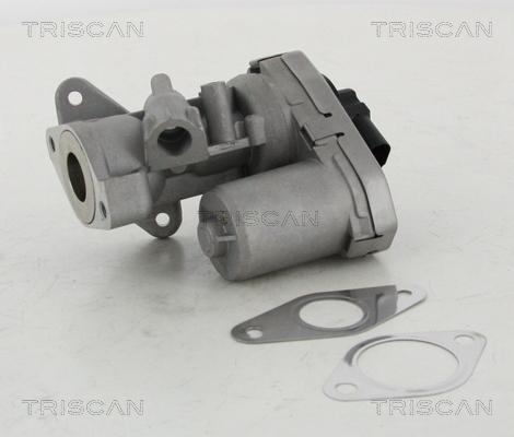 Triscan 8813 10002 - AGR-szelep www.parts5.com