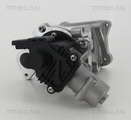 Triscan 8813 10007 - Supapa EGR www.parts5.com