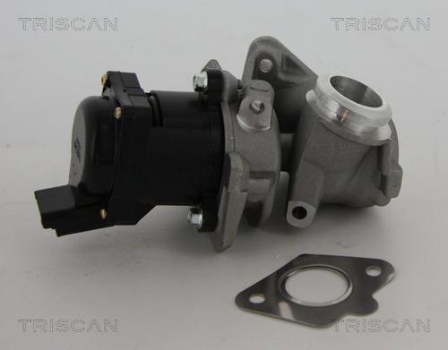 Triscan 8813 10010 - AGR-Ventil www.parts5.com