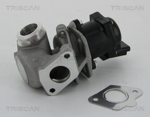 Triscan 8813 10010 - EGR Valve www.parts5.com