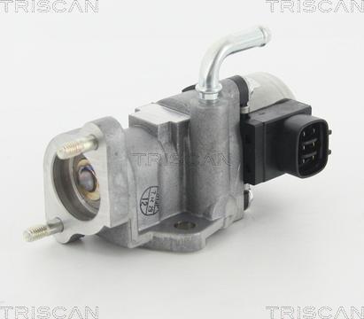 Triscan 8813 13002 - EGR Valve www.parts5.com