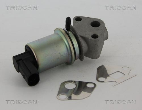 Triscan 8813 29044 - EGR Valve parts5.com