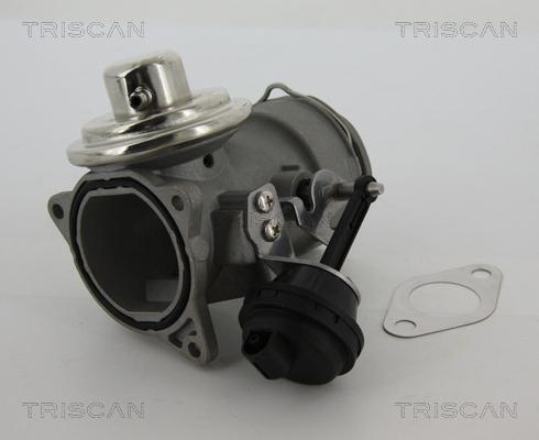 Triscan 8813 29040 - EGR Valve parts5.com