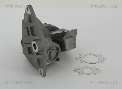 Triscan 8813 29047 - AGR-szelep www.parts5.com