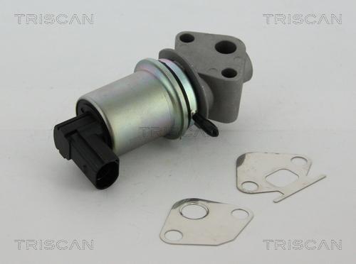 Triscan 8813 29004 - EGR Valve www.parts5.com