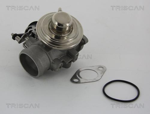 Triscan 8813 29001 - Ventil za recirkulaciju www.parts5.com