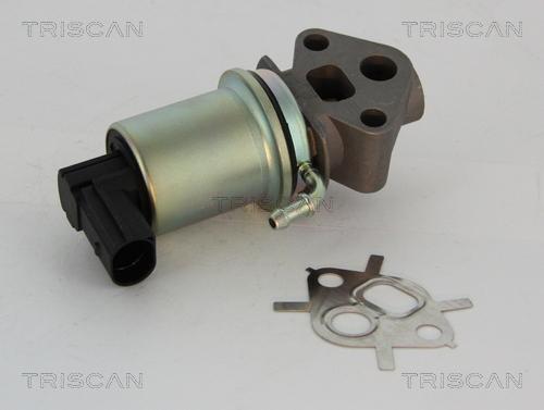 Triscan 8813 29007 - Válvula EGR www.parts5.com