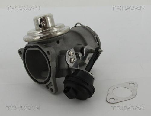 Triscan 8813 29036 - EGR Valve parts5.com