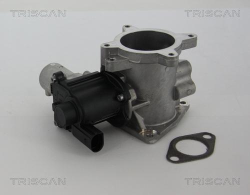 Triscan 8813 29105 - EGR Valve www.parts5.com