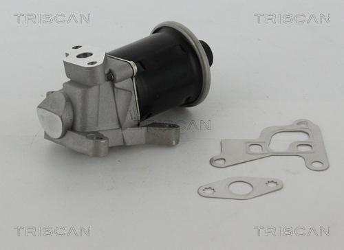 Triscan 8813 29100 - EGR Valve www.parts5.com