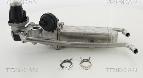 Triscan 8813 29325 - AGR-Клапан www.parts5.com