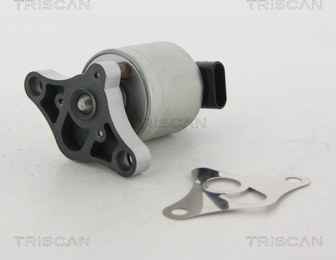 Triscan 8813 24002 - AGR-Ventil www.parts5.com