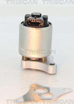 Triscan 8813 24002 - AGR-Ventil www.parts5.com