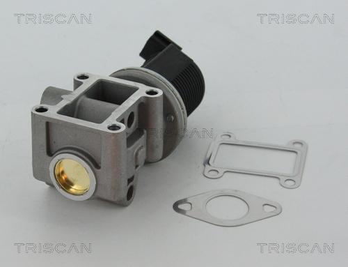 Triscan 8813 24082 - EGR Valve www.parts5.com