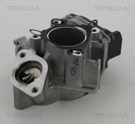 Triscan 8813 24039 - Клапан возврата ОГ www.parts5.com