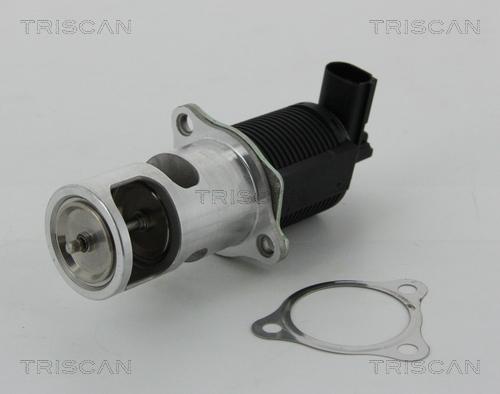 Triscan 8813 25038 - Zawór AGR www.parts5.com