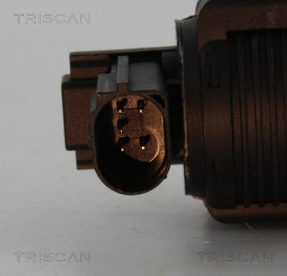 Triscan 8813 25038 - Zawór AGR www.parts5.com