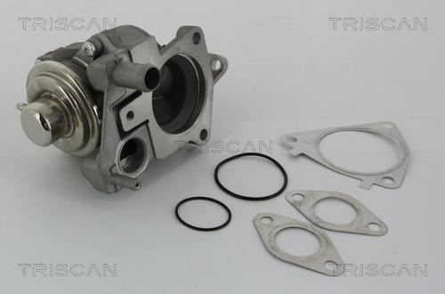 Triscan 8813 28019 - Zawór AGR www.parts5.com