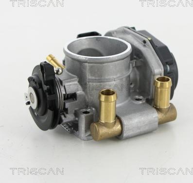 Triscan 8820 29020 - Cuerpo de mariposa www.parts5.com