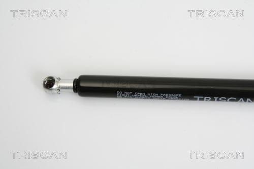 Triscan 8710 43227 - Gas Spring, boot, cargo area www.parts5.com