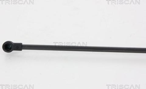 Triscan 8710 66207 - Plinska vzmet, Prostor za prtljago / prtljaznik www.parts5.com