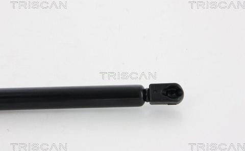 Triscan 8710 66207 - Plinska vzmet, Prostor za prtljago / prtljaznik www.parts5.com