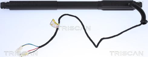 Triscan 8710 11304 - Gas Spring, boot, cargo area www.parts5.com