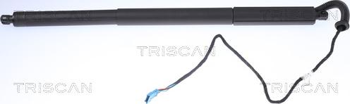 Triscan 8710 11306 - Gas Spring, boot, cargo area parts5.com