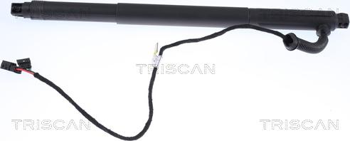 Triscan 8710 11301 - Gas Spring, boot, cargo area www.parts5.com