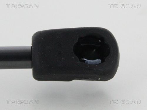 Triscan 8710 29147 - Muelle neumático, capó de motor www.parts5.com