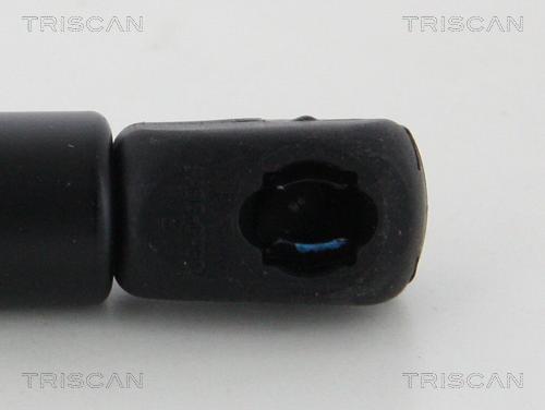 Triscan 8710 29147 - Muelle neumático, capó de motor www.parts5.com