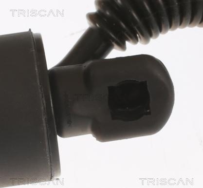 Triscan 8710 29306 - Gas Spring, boot, cargo area www.parts5.com