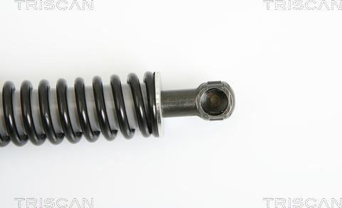 Triscan 8710 29264 - Amortizor portbagaj www.parts5.com