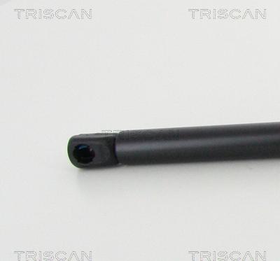 Triscan 8710 292050 - Gas Spring, boot, cargo area www.parts5.com