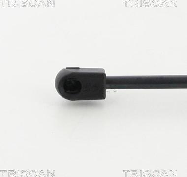 Triscan 8710 292010 - Gas Spring, boot, cargo area www.parts5.com