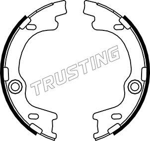 Trusting 046.221 - Juego de zapatas de frenos, freno de estacionamiento www.parts5.com